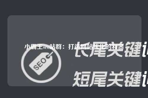 小霸王seo站群：打造网站优化的利器