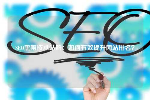 SEO黑帽技术站群：如何有效提升网站排名？