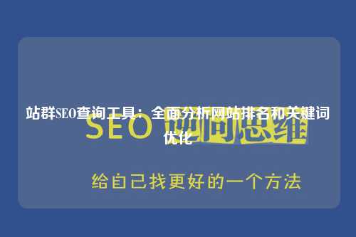 站群SEO查询工具：全面分析网站排名和关键词优化