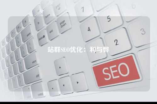 站群SEO优化：利与弊