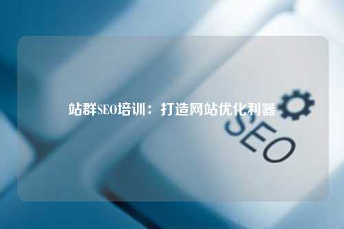 站群SEO培训：打造网站优化利器