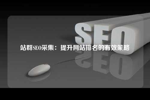 站群SEO采集：提升网站排名的有效策略